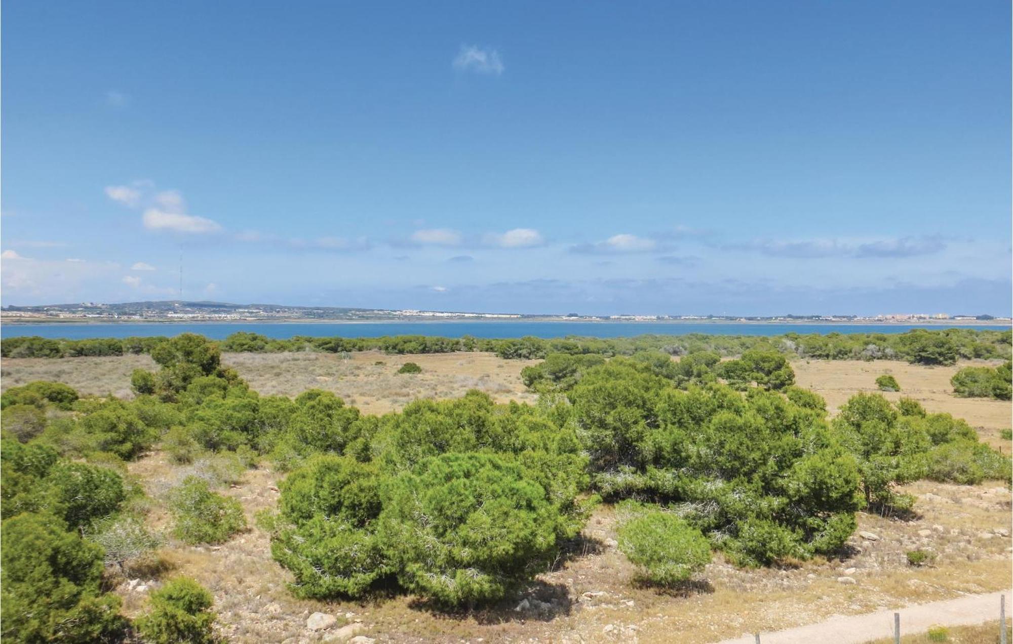 Amazing Apartment In Torrevieja With Kitchen Exteriör bild
